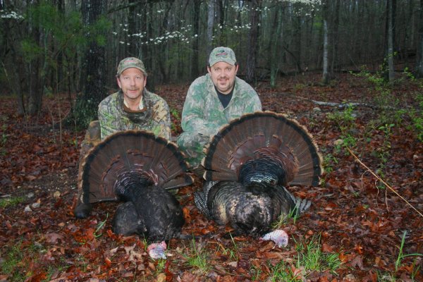 spookhouse birds2009