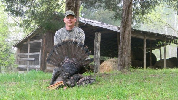 2011gobbler008
