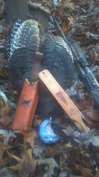 David Fergusons fall bird