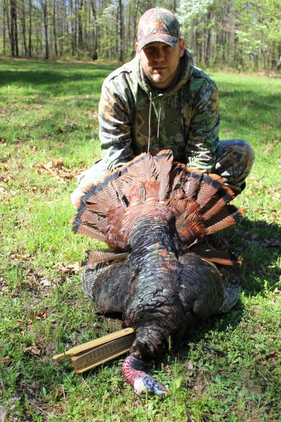 Steve Hardins mountain gobbler 