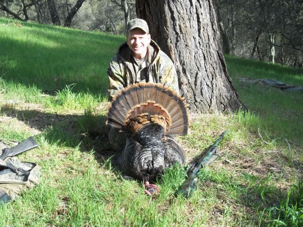 Joe Slaton Ca bird