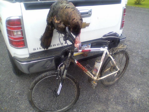 Gregg Guthridge turkey wagon 