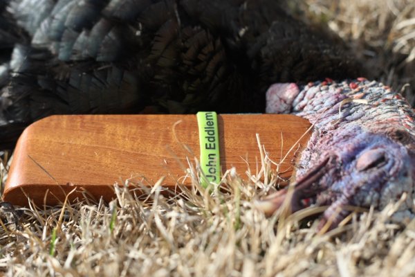 Alec Taylor's opening day Mississippi bird