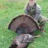 2013 Turkey Season