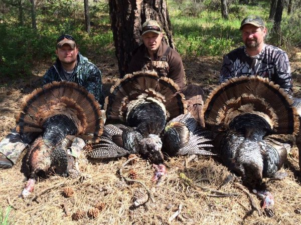 Matt Houston,Guy Rubel and Reid Moore