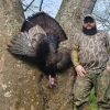 2019 Turkey Season 