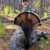 2022 Turkey Season 