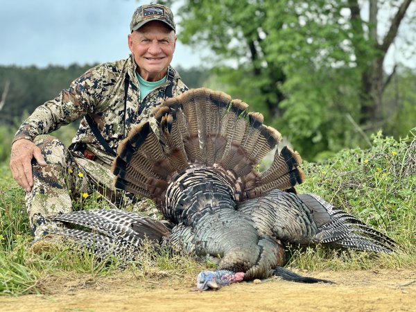 Terry Heathcock