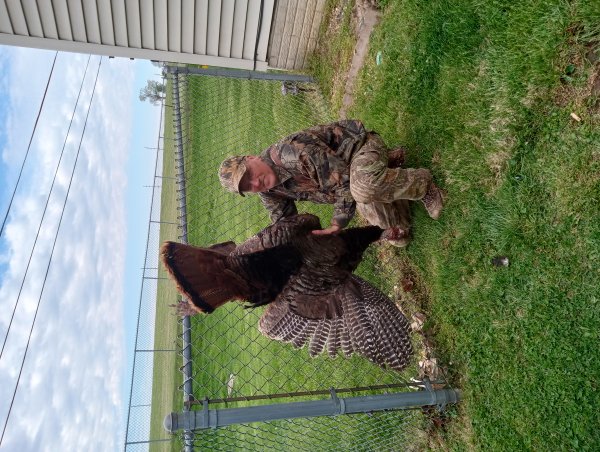 David Mast-Short box, one sider and lapp push pin emailed.jpg